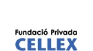 Web proyecto cellex